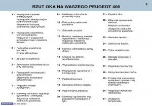 manual-Peugeot-406-Peugeot-406-instrukcja page 3 min