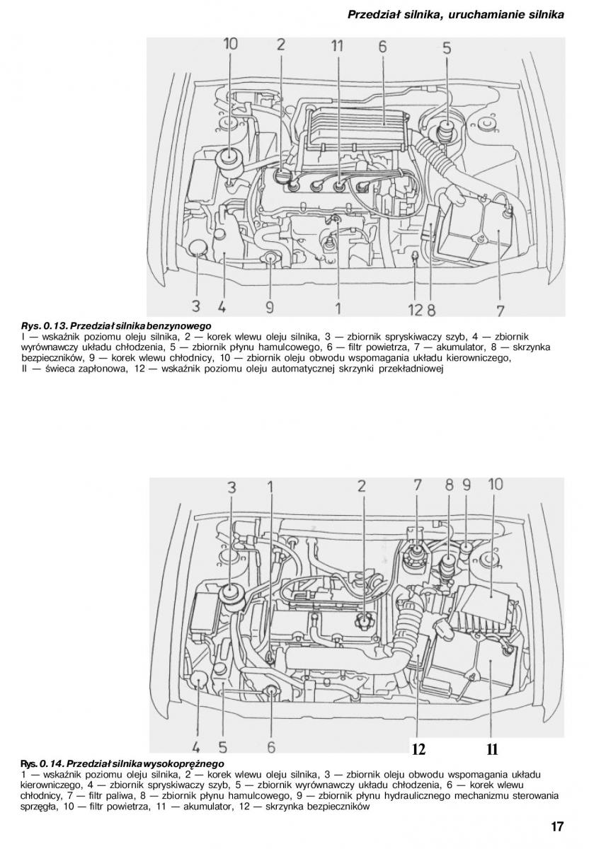 Nissan Almera N15 instrukcja obslugi / page 15