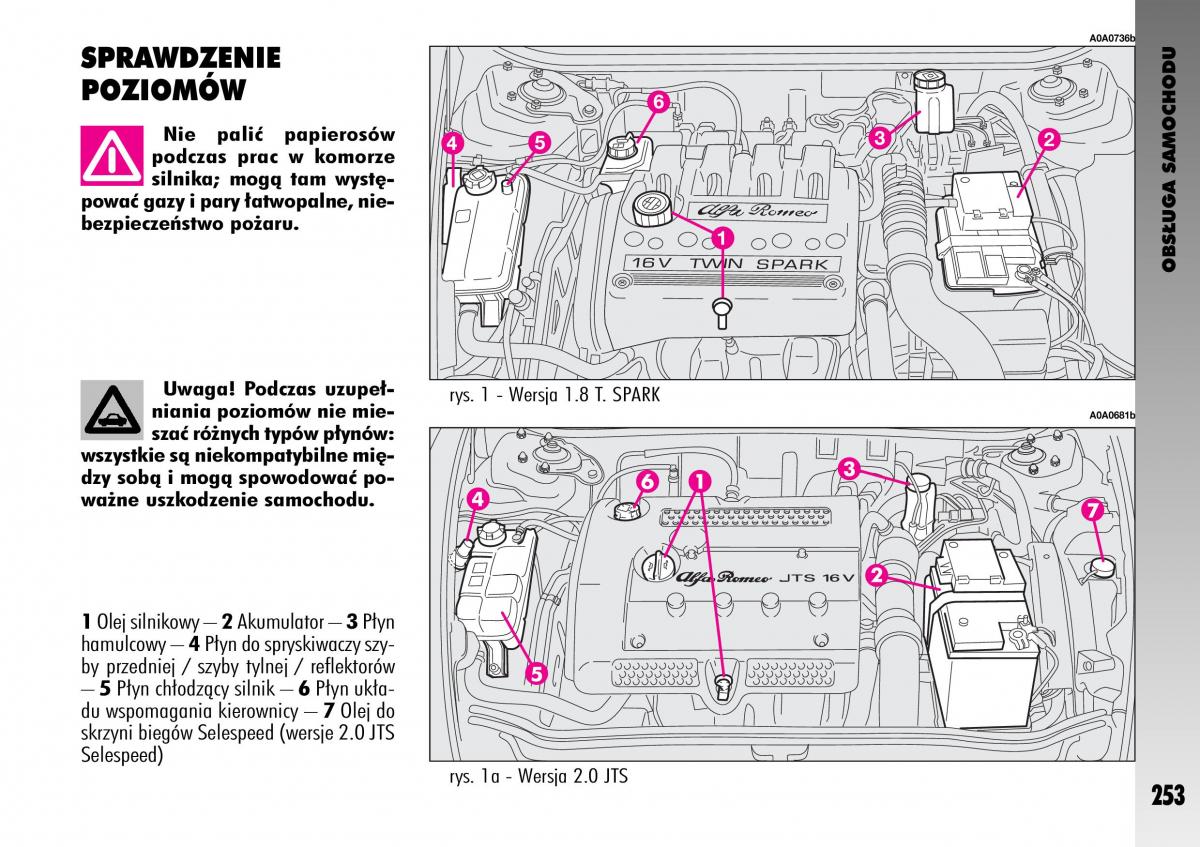 Alfa Romeo GT instrukcja obslugi / page 254
