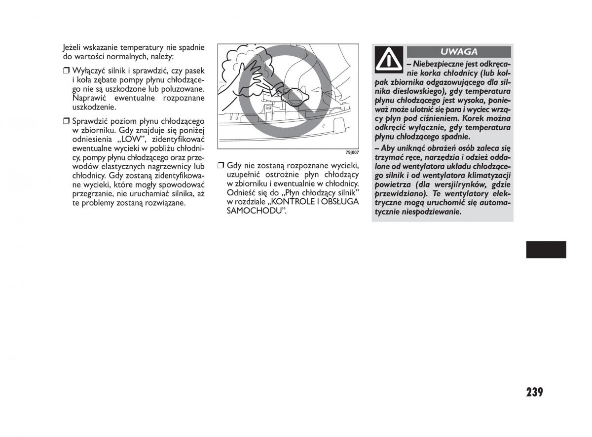Fiat Sedici instrukcja obslugi / page 243