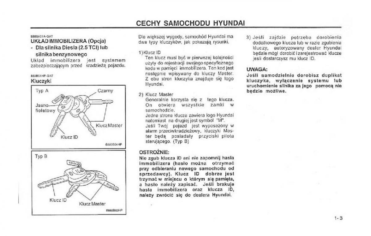 Hyundai Terracan Highlander instrukcja obslugi / page 10