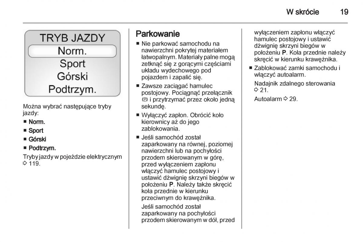 Opel Ampera instrukcja obslugi / page 21