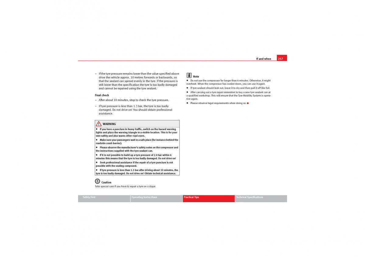 instrukcja obsługi Seat Exeo Seat Exeo owners manual / page 259