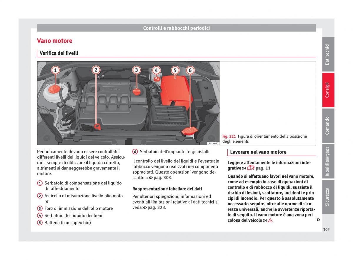 Seat Ateca manuale del proprietario / page 305