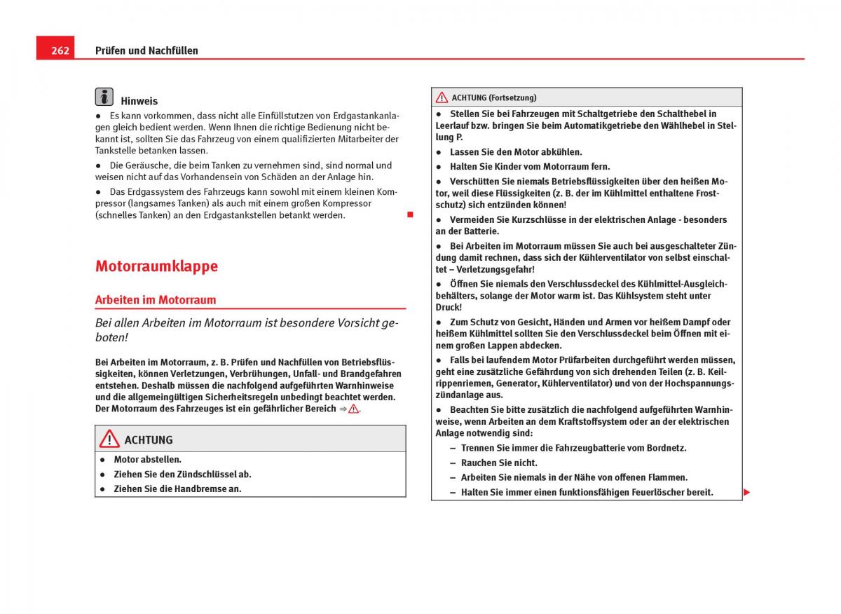 Seat Leon III 3 Handbuch / page 264