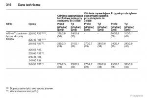 Opel-Insignia-instrukcja-obslugi page 317 min