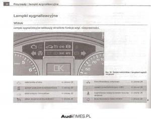 manual--Audi-A4-B6-instrukcja page 17 min