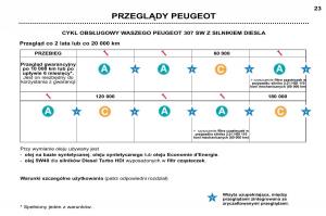 Peugeot-307-SW-instrukcja-obslugi page 20 min
