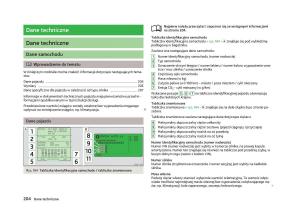 Skoda-Fabia-II-2-instrukcja-obslugi page 207 min