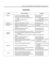 Daewoo-Tico-service-book-ksiazka-serwisowa page 237 min
