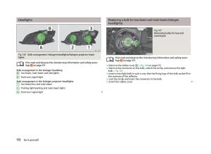 Skoda-Fabia-II-2-owners-manual page 174 min