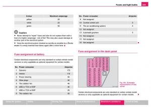 Skoda-Fabia-I-1-owners-manual page 226 min