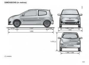 manual--Renault-Twingo-II-2-owners-manual page 196 min