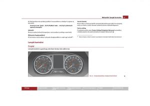 Skoda-Roomster-instrukcja-obslugi page 29 min