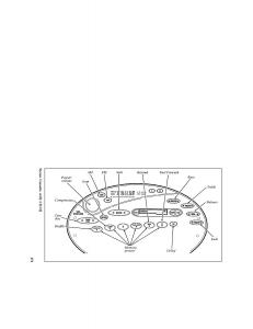 Ford-Taurus-III-3-owners-manual page 169 min