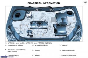 manual--Peugeot-206-owners-manual page 33 min