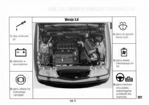 Lancia-Kappa-instrukcja-obslugi page 223 min