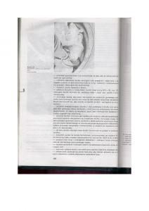 Skoda-Favorit-instrukcja-obslugi page 187 min