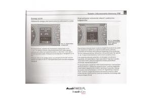 manual--Audi-A4-B7-instrukcja page 24 min