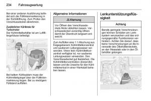 Opel-Insignia-Handbuch page 236 min