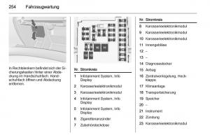 Opel-Insignia-Handbuch page 256 min