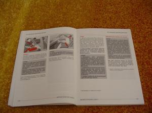 manual--Seat-Ibiza-II-2-FL-instrukcja page 16 min