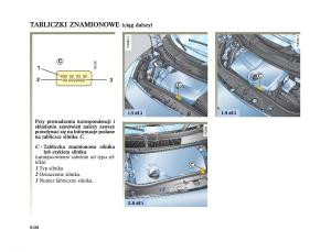 instrukcja-obslugi--Renault-Scenic-II-2-Grand-Scenic-instrukcja page 252 min