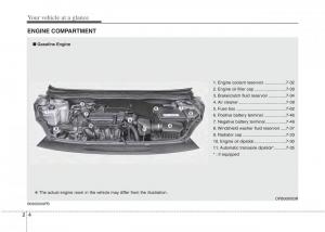 Hyundai-i20-I-1-owners-manual page 18 min