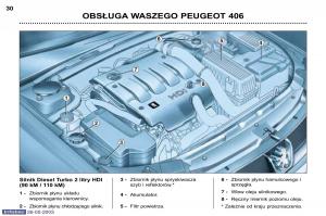 Peugeot-406-instrukcja-obslugi page 21 min