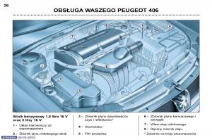 Peugeot-406-instrukcja-obslugi page 17 min