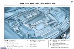 Peugeot-406-instrukcja-obslugi page 18 min