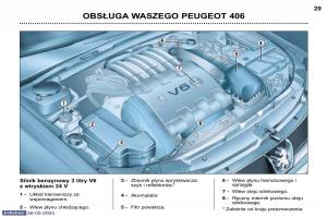 Peugeot-406-instrukcja-obslugi page 20 min