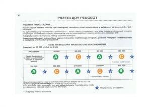 Peugeot-206-instrukcja-obslugi page 23 min