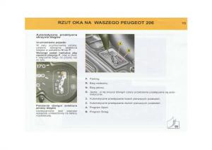 Peugeot-206-instrukcja-obslugi page 14 min