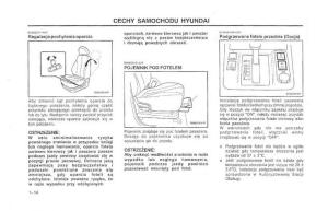 manual--Hyundai-Terracan-Highlander-instrukcja page 21 min