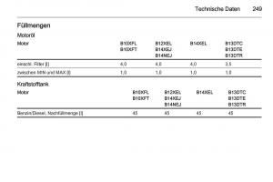 Opel-Corsa-E-Handbuch page 251 min