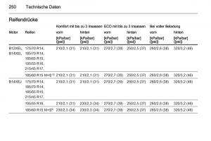 Opel-Corsa-E-Handbuch page 252 min