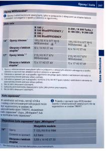 instrukcja-obsługi--Mercedes-Benz-B-Class-W245-instrukcja page 248 min