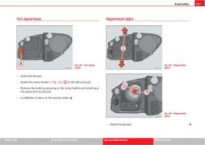 Seat-Altea-owners-manual page 253 min