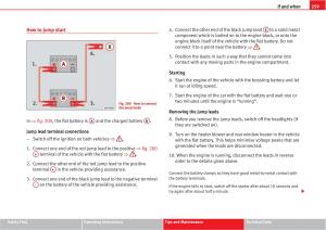 Seat-Altea-owners-manual page 261 min