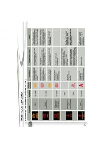 manual--Peugeot-4007-instrukcja page 21 min