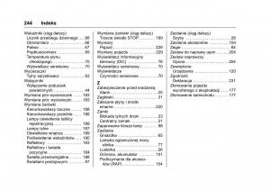 Opel-Karl-instrukcja-obslugi page 245 min