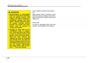 Hyundai-Santa-Fe-III-3-owners-manual page 529 min