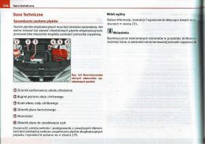 Seat-Ibiza-IV-4-instrukcja-obslugi page 235 min