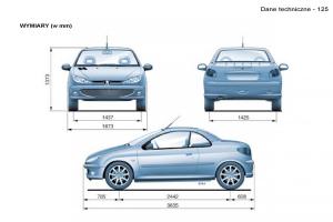 Peugeot-206-CC-instrukcja-obslugi page 124 min