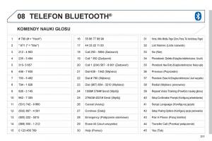 manual--Peugeot-4008-instrukcja page 313 min