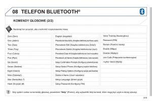 manual--Peugeot-4008-instrukcja page 321 min