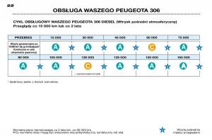 Peugeot-306-instrukcja-obslugi page 19 min