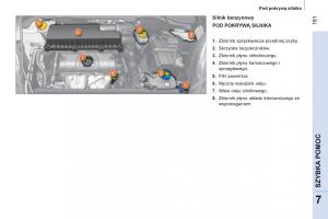 Peugeot-Bipper-instrukcja-obslugi page 163 min