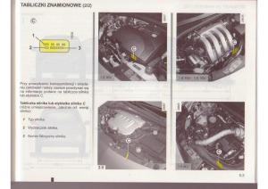 Renault-Clio-III-PHI-instrukcja-obslugi page 231 min